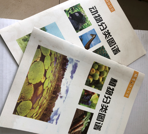 動(dòng)物、植物分類圖譜